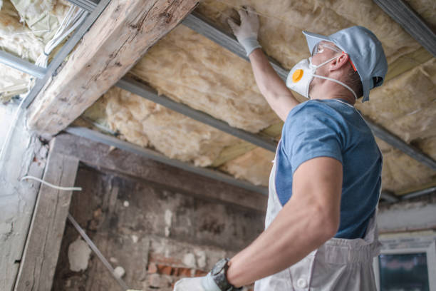Best Insulation Maintenance and Repair in Arlington, WA